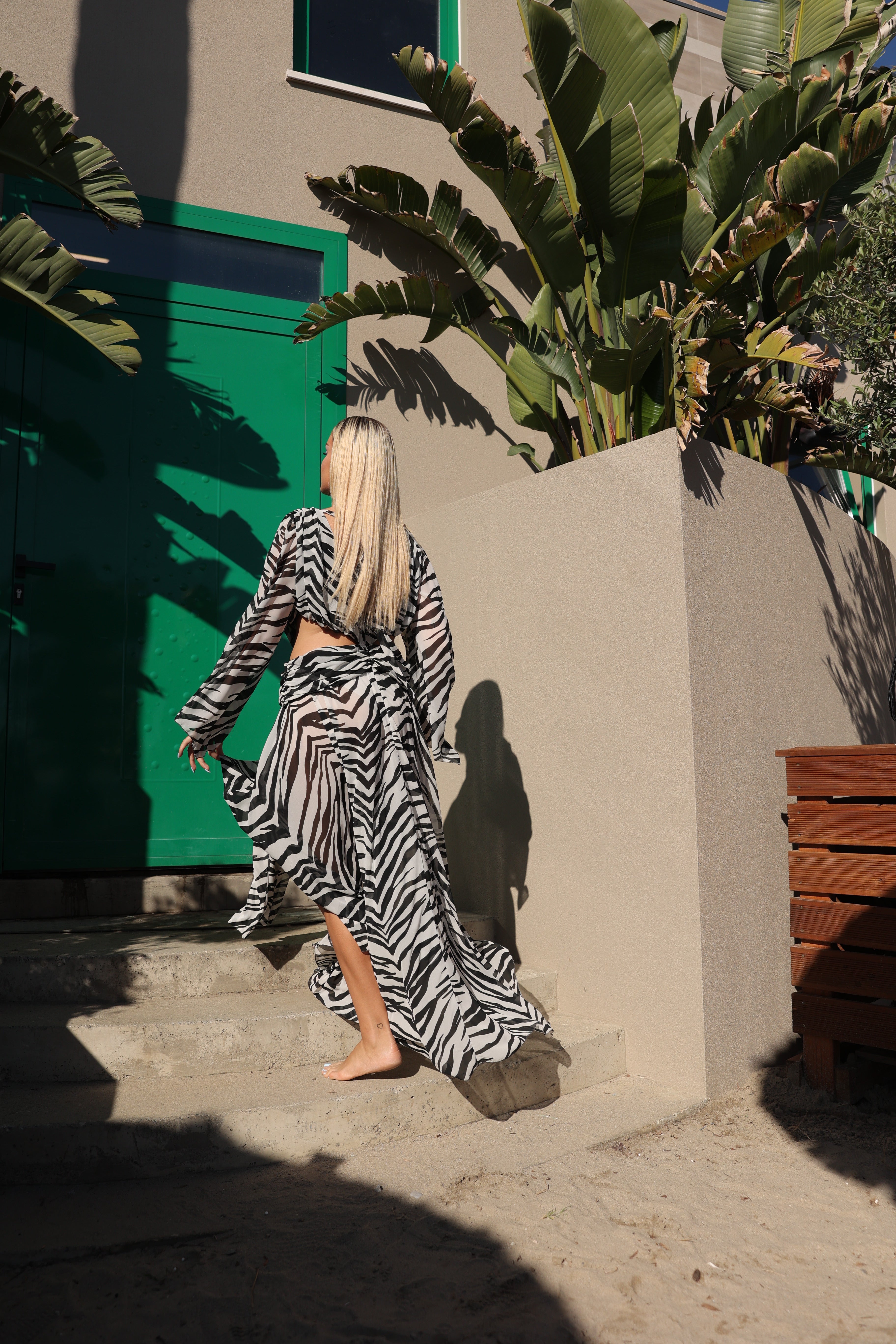 Zeya Dress